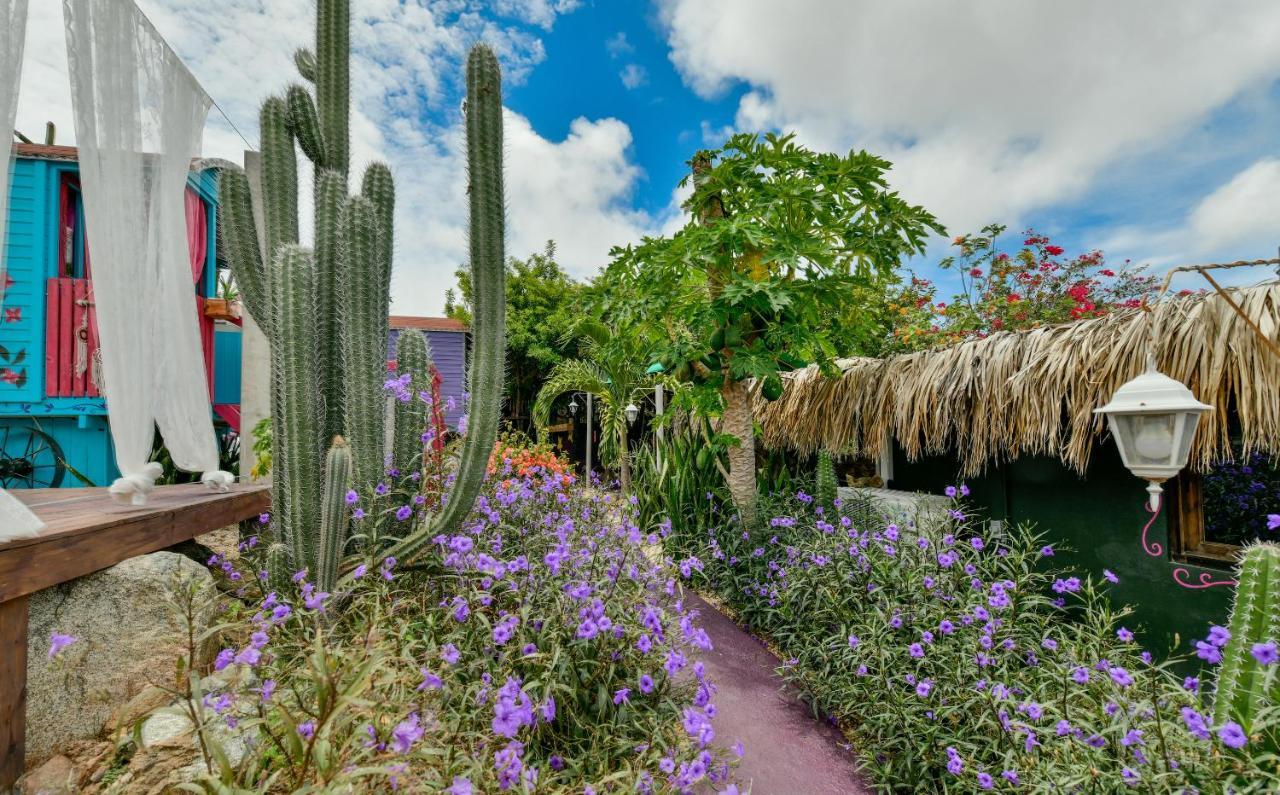 Mammaloe Bed and Breakfast Oranjestad Buitenkant foto