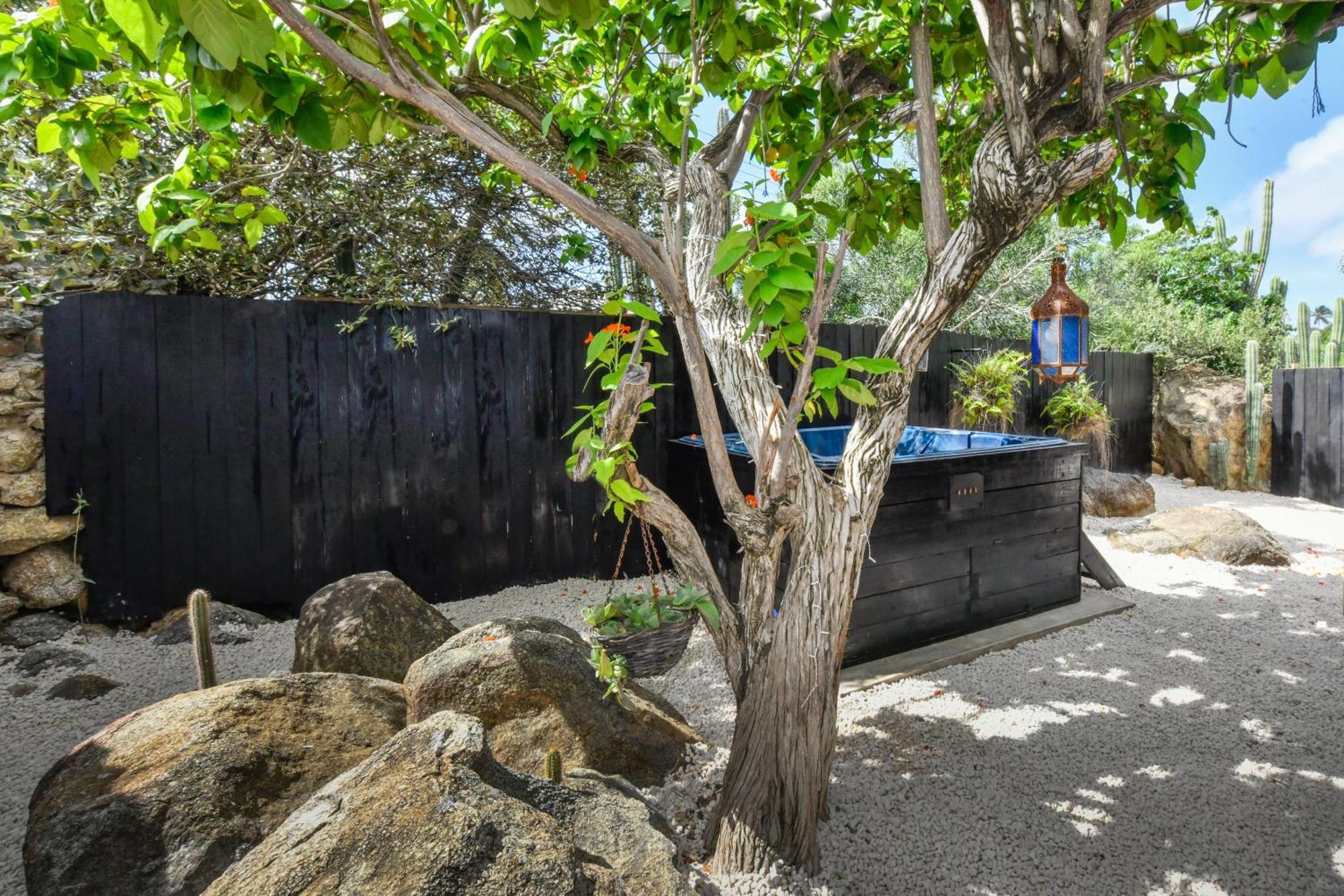 Mammaloe Bed and Breakfast Oranjestad Buitenkant foto